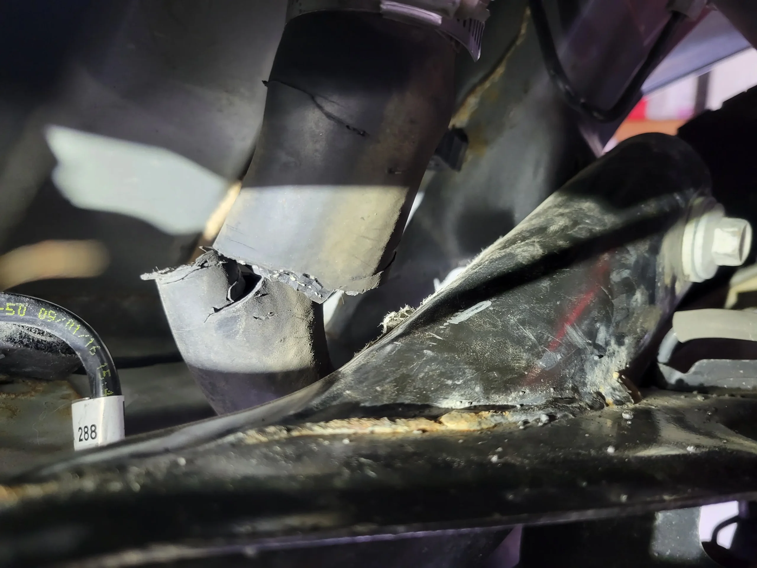 Belt & Hose Replacement Services